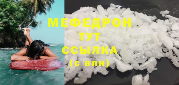 дмт Богданович