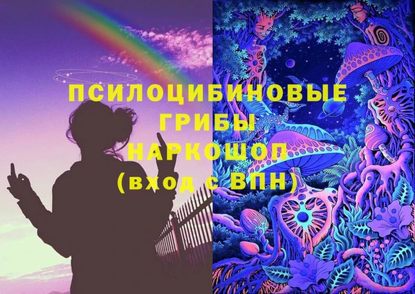 дживик Богородск
