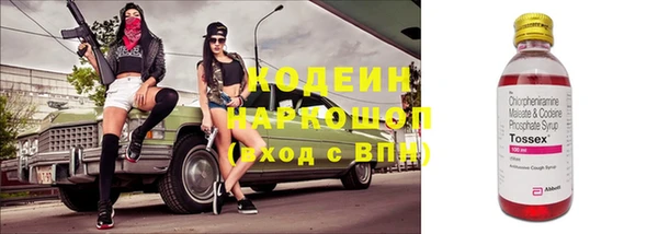 дмт Богданович