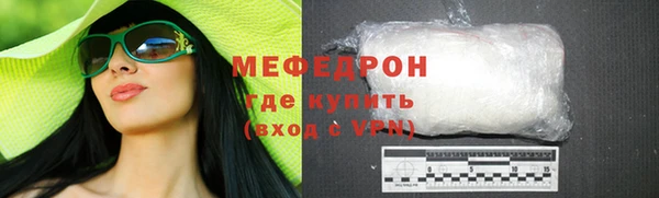 дмт Богданович