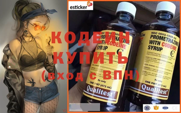 дживик Богородск