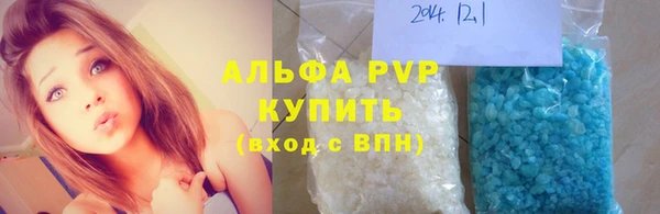 дживик Богородицк