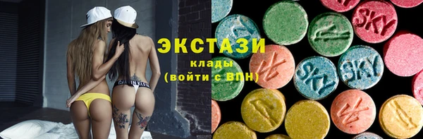 дживик Богородск