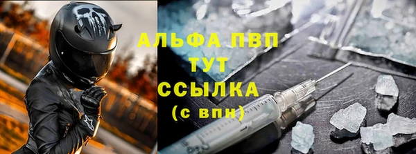 дмт Богданович