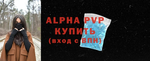 дмт Богданович