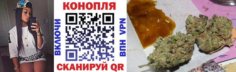 Купить  Ельня  Бошки марихуана планчик 